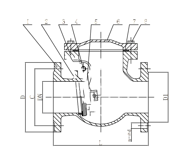 Cast iron swing check valve